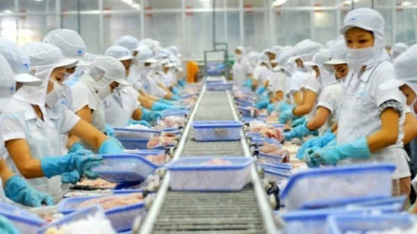 Nearly 700 Vietnamese firms eligible for aquatic export to Taiwan