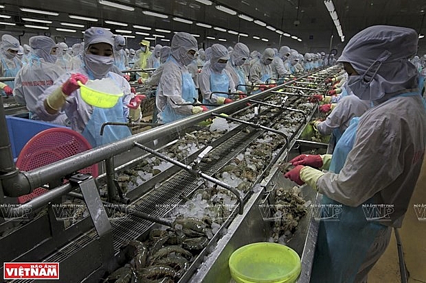 Fisheries envisaged to become a vital economic sector