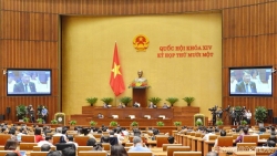 Quốc hội thảo luận các Báo cáo công tác nhiệm kỳ 2016-2021 của Tòa án, Viện Kiểm sát NDTC