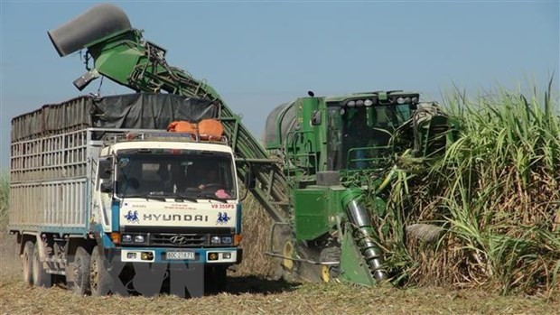 Anti-dumping investigation into cane sugar extended