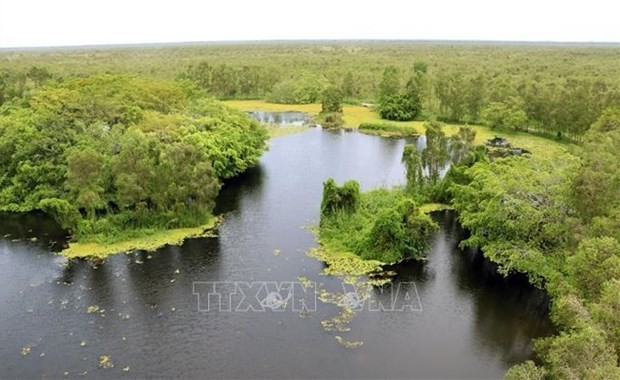 A corner of U Minh Thuong National Park in the Mekong Delta province of Kien Giang. (Photo: VNA)