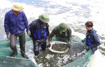 Aquatic catch, aquaculture output enjoy growth in first quarter