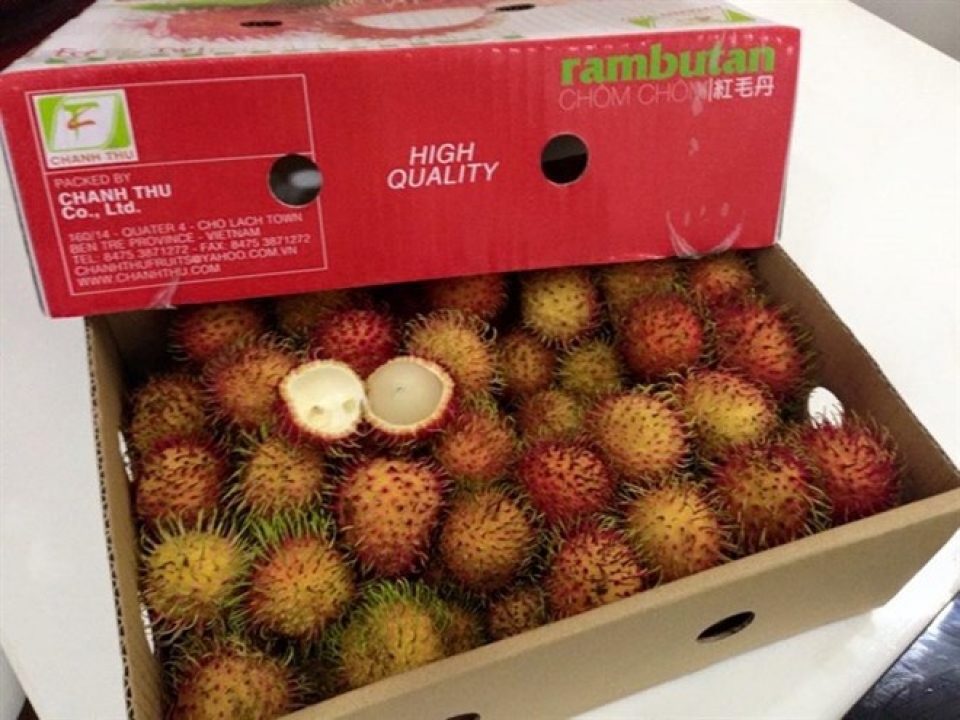 vietnams rambutan to be shipped to new zealand