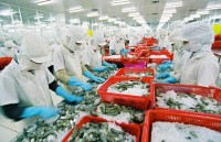 seafood shipments to eu drop