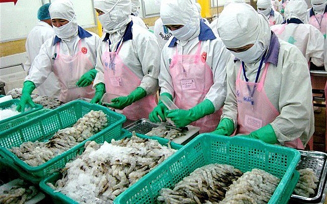 eu remains top market of vietnamese shrimp