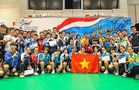 vietnam economic star in southeast asia online paper