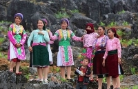 buckwheat flower festival in ha giang