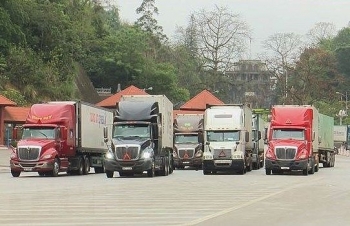 Ministry urges tighter border controls to stem COVID-19