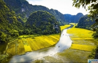 facebook for vietnam campaign launched to celebrate the 25th anniversary of vietnam us relations