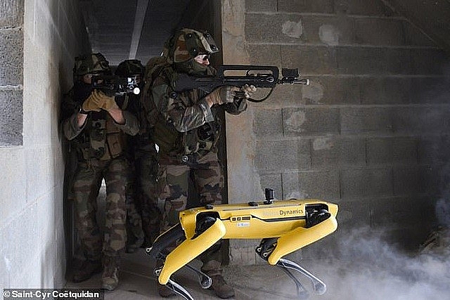 Quân đội Pháp sẽ cho 'siêu khuyển robot' ra chiến trường
