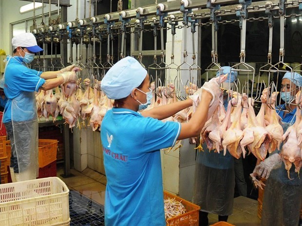 Vietnam earns nearly 1 billion USD from exporting animals, animal products