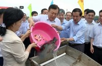 vietnam china expand self drive tours in border area