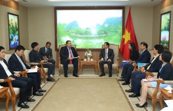 Vietnam welcomes AES’s gas investment: Deputy PM