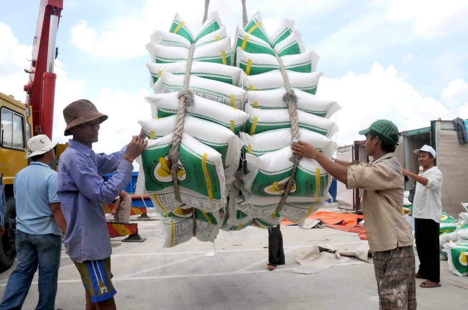 wide door for vietnamese rice export