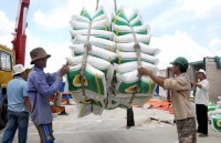 rice export shows positive signals