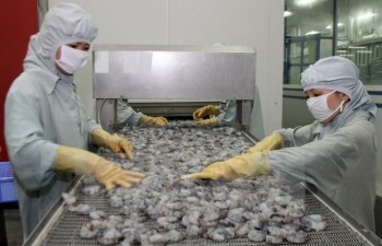 Seafood shipments to EU drop