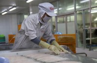 tra fish industry strives to win over domestic consumers