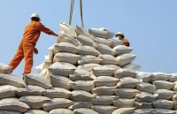 internal external factors challenge vietnams coffee exports