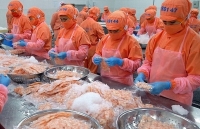 vietnam canada work to optimize benefits of cptpp