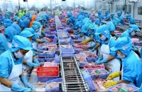Vietnam, China have room to grow trade ties: experts