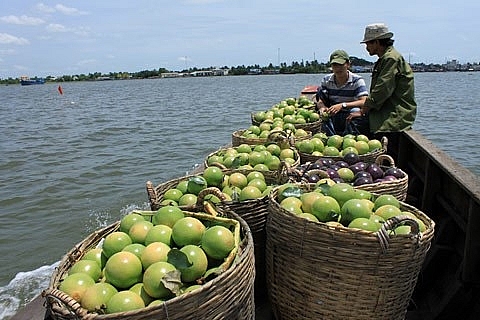 vietnams exports to thailand shoot up