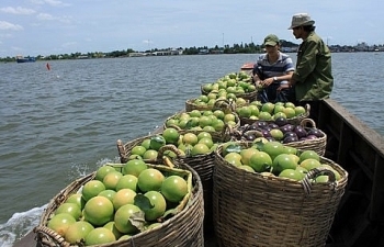 Vietnam’s exports to Thailand shoot up