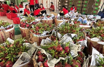 Fruit, vegetable exports top 1.6 billion USD