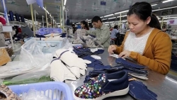 Increase in Viet Nam – Belgium trade brings more opportunities for investors: Experts