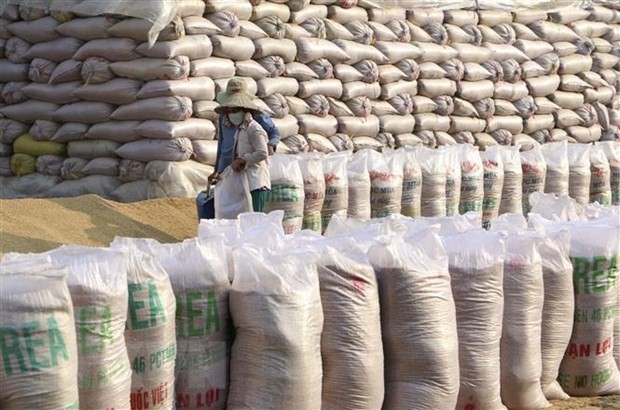 Rice exporters urged to utilise FTAs to boost declining shipments