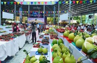 vietnamese dragon fruit on australian shelves