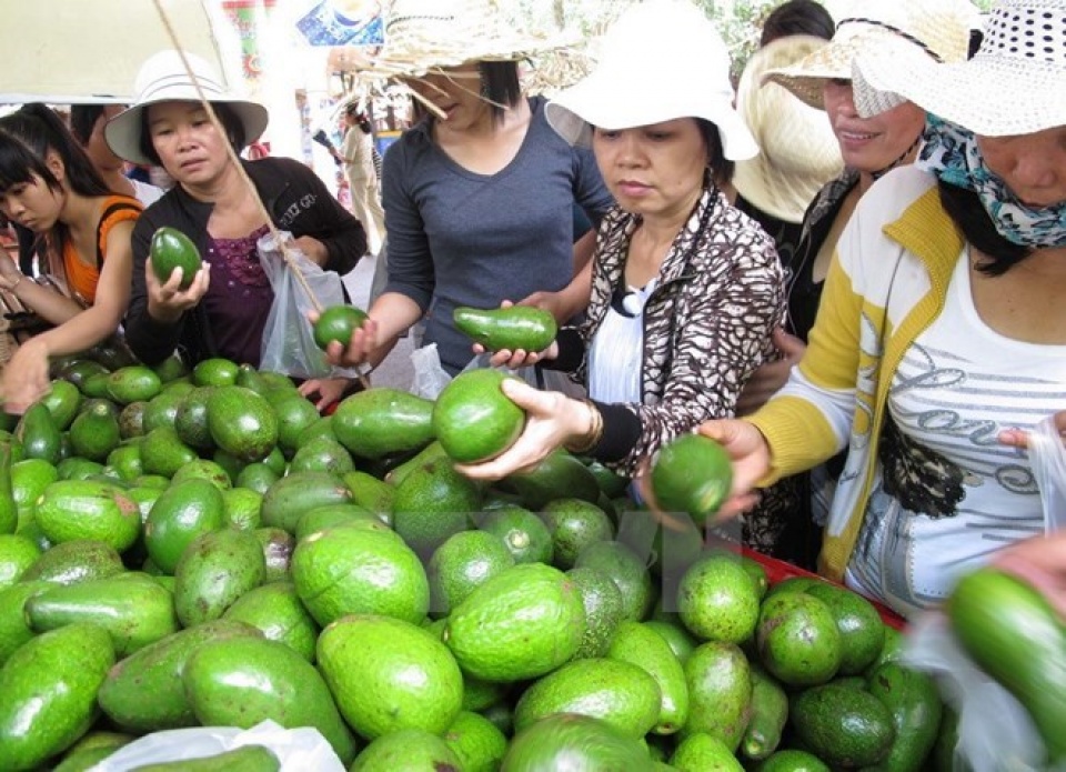 southern fruit festival opens