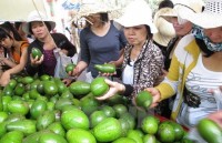 vietnamese dragon fruit on australian shelves