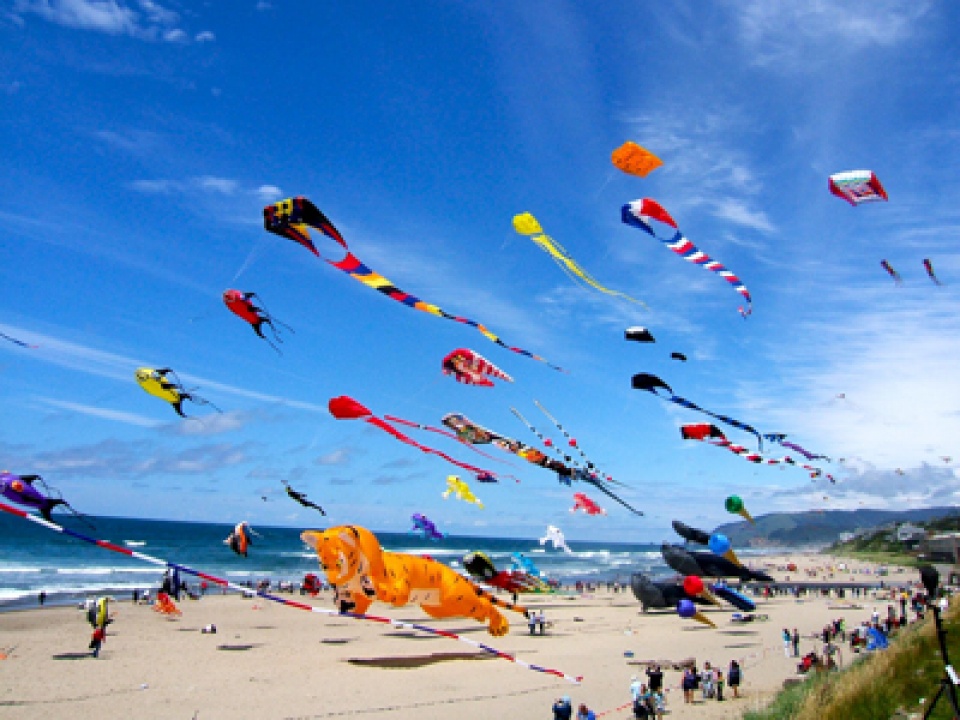 kites fly high as quang nam hosts heritage festival