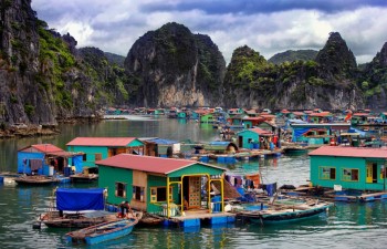 Eco-friendly aquaculture model on Ha Long Bay proves fruitful