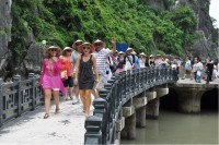 vietnam serves 62 million foreign tourists in h1