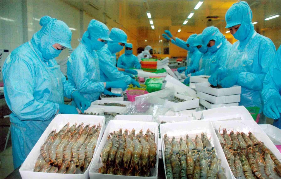 seafood processing firms lack materials