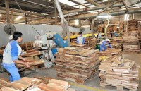 wood exports expected to hit 885 billion usd this year