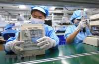 digital transition crucial for vietnamese enterprises