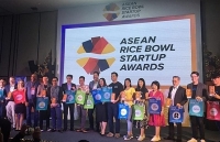 vietnam makes active contributions to asean festival day in south africa