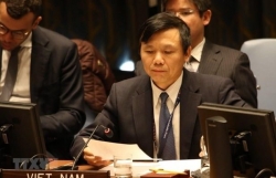 Vietnam calls for stronger protection of women in Afghanistan