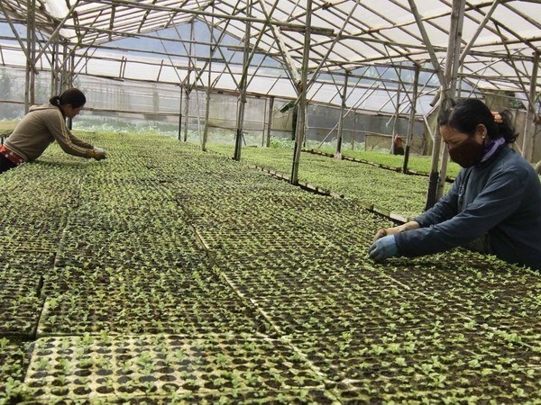 Collective economy, cooperatives forum to return in Q3