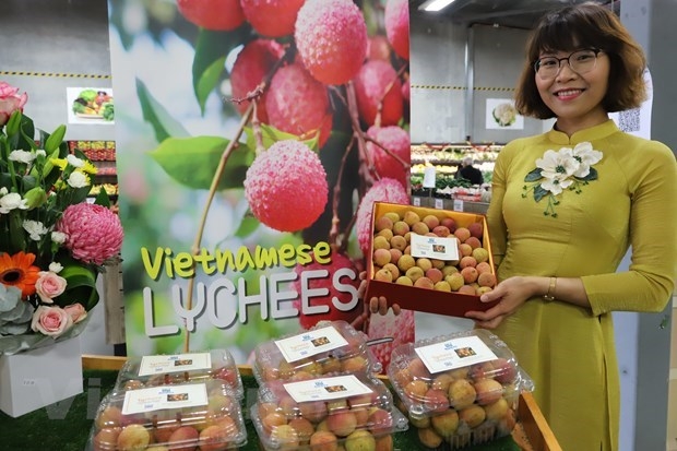 Vietnamese lychee becomes “hot item” in Australia