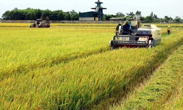 Vietnam’s supporting policies contribute to higher level of mechanisation in agriculture