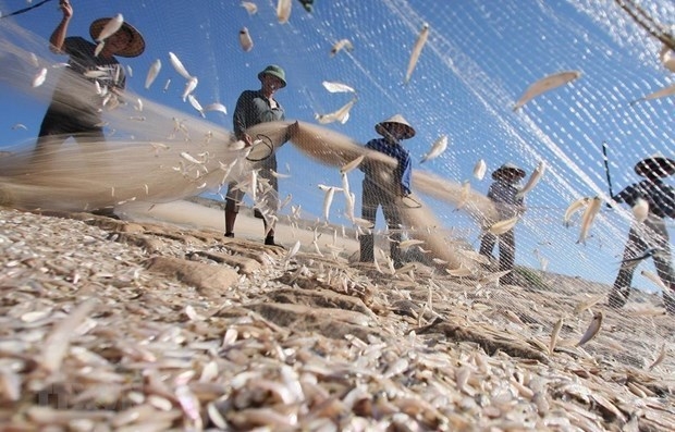 Vietnam bolsters efforts for sustainable development of marine livelihoods