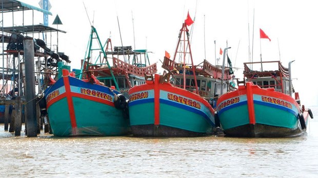 Ben Tre develops marine economy