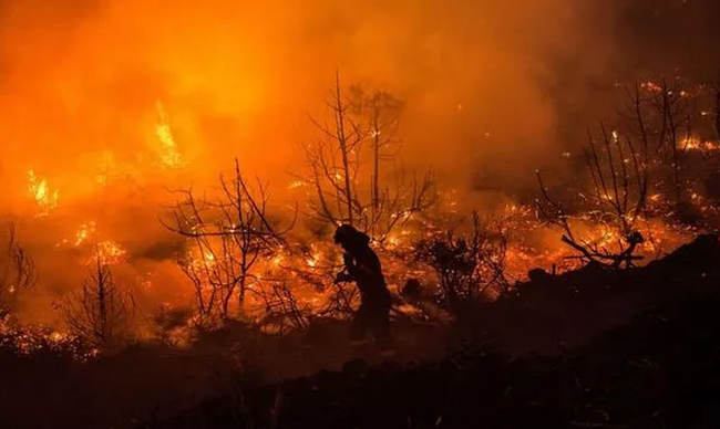Cháy rừng bùng phát dữ dội tại Hy Lạp, Tây Ban Nha