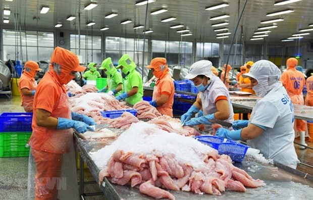 Seafood exporters face challenging second half of 2022: conference