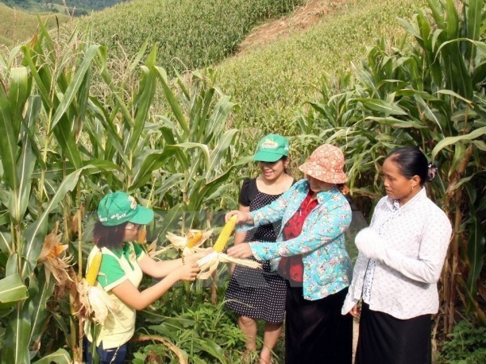 wb aids poverty alleviation programme for ethnic groups