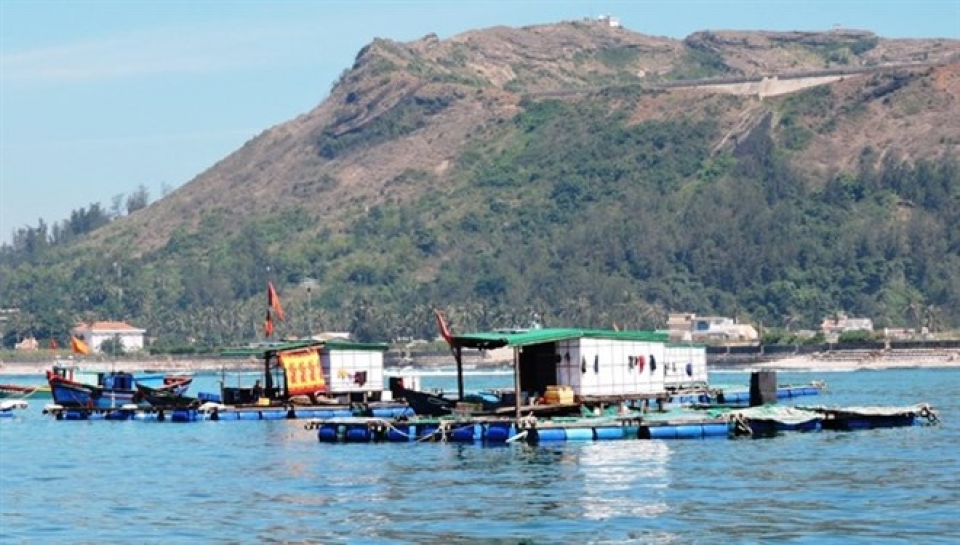 funds allocated to preserve ly son marine protected area