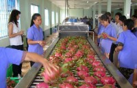 enhancing added value for vietnamese agricultural products